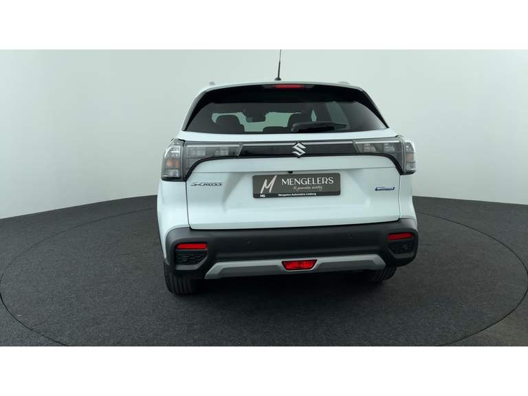 Suzuki Suzuki