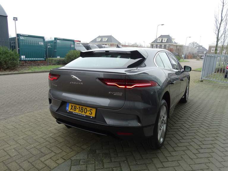 Jaguar Jaguar