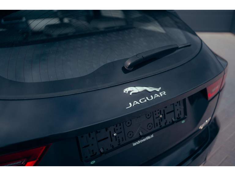 Jaguar