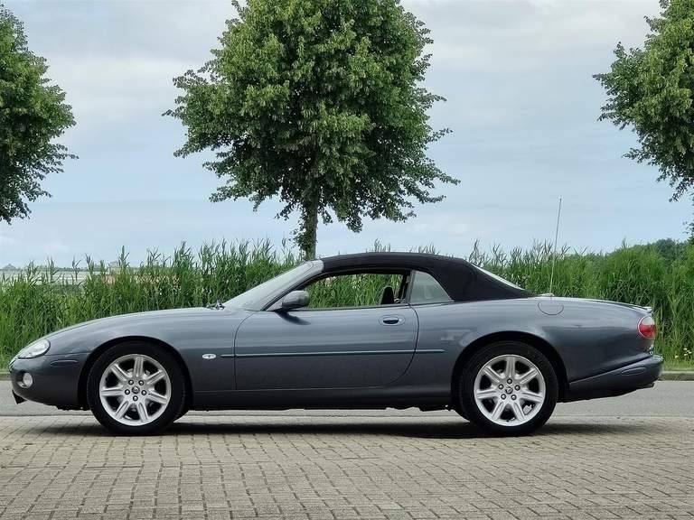 Jaguar