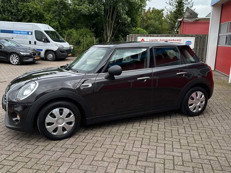 MINI MINI