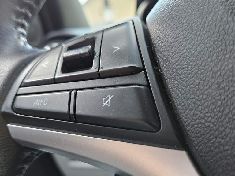 Suzuki Suzuki