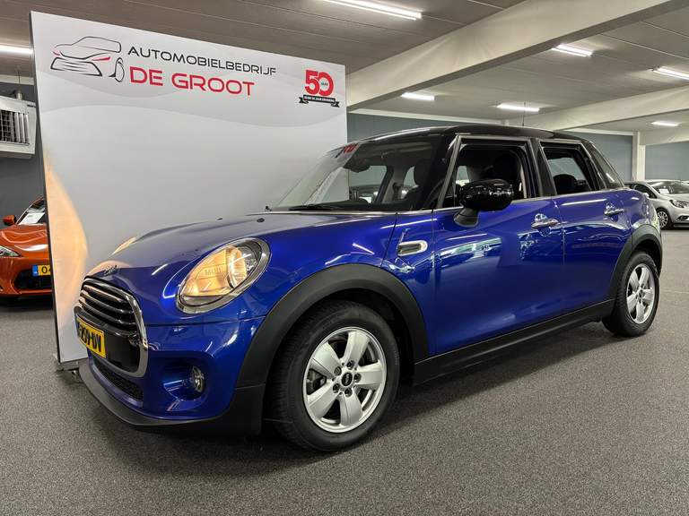 MINI
