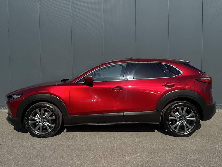 Mazda Mazda