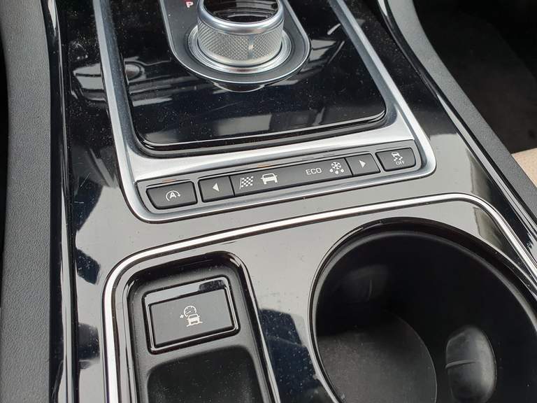 Jaguar Jaguar
