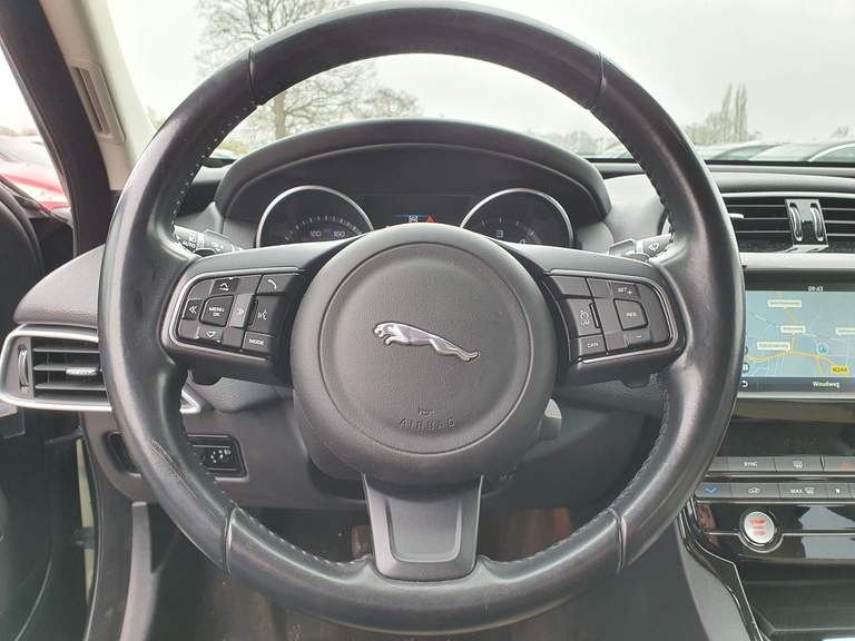 Jaguar Jaguar