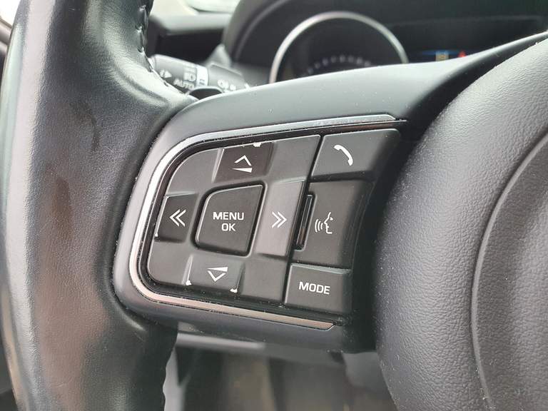 Jaguar Jaguar