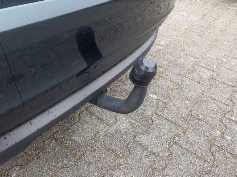 Jaguar Jaguar