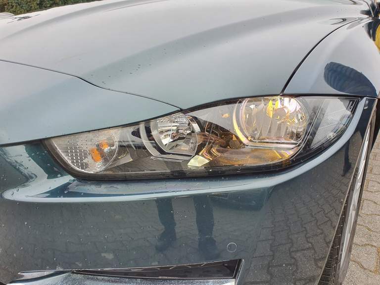 Jaguar Jaguar