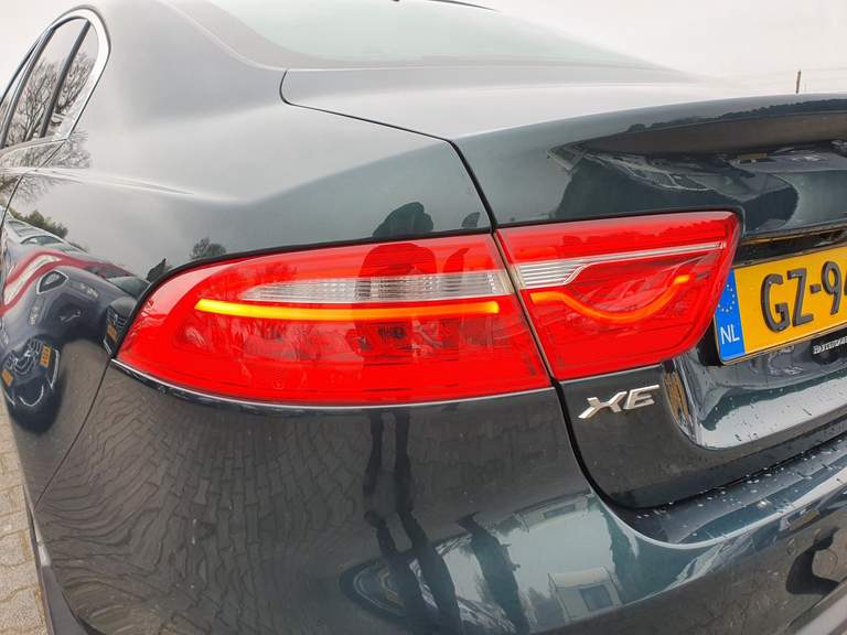 Jaguar Jaguar