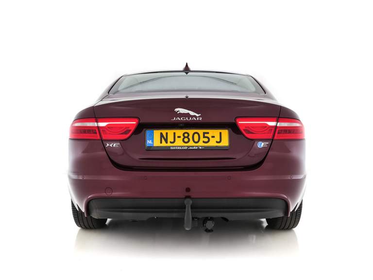 Jaguar Jaguar