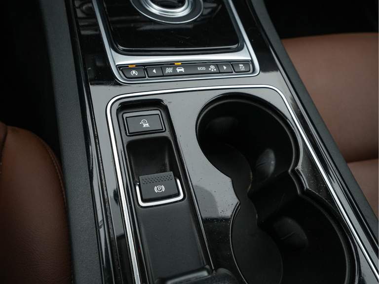 Jaguar Jaguar