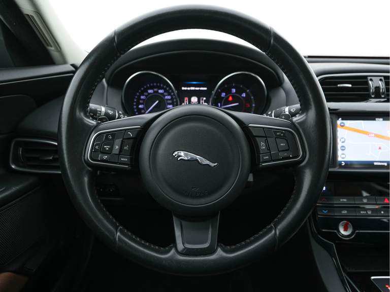 Jaguar Jaguar