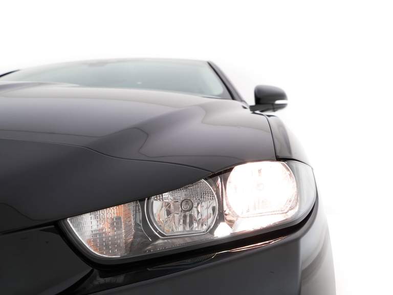 Jaguar Jaguar