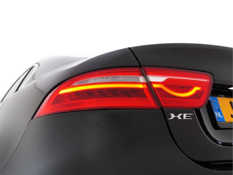 Jaguar Jaguar