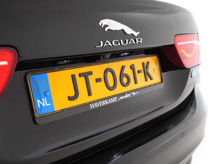 Jaguar Jaguar