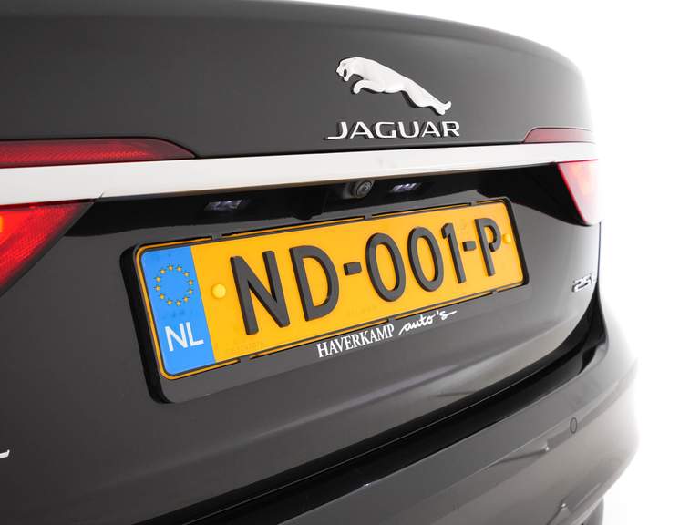 Jaguar