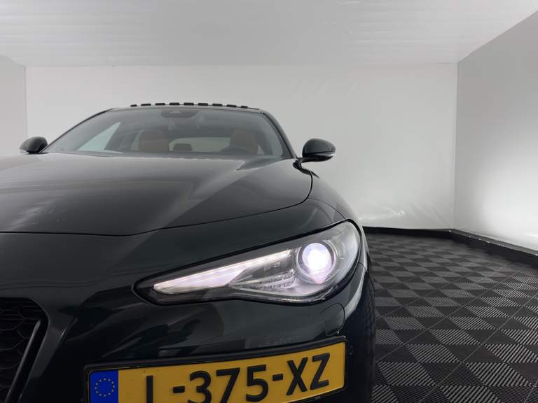 Alfa Romeo Alfa Romeo