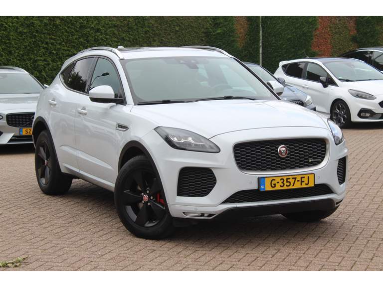 Jaguar Jaguar