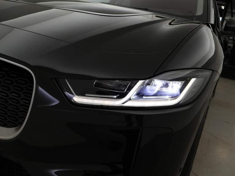 Jaguar Jaguar