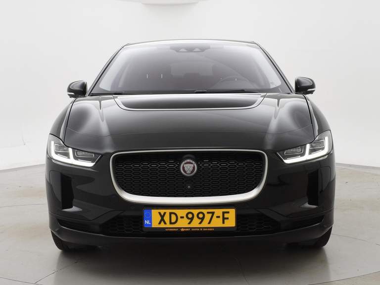Jaguar Jaguar
