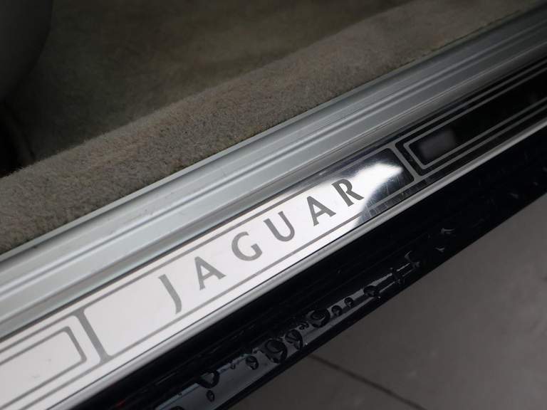 Jaguar Jaguar