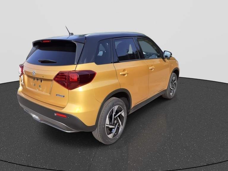 Suzuki Suzuki