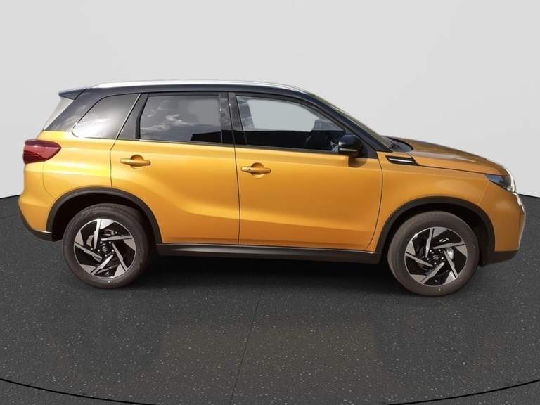 Suzuki Suzuki