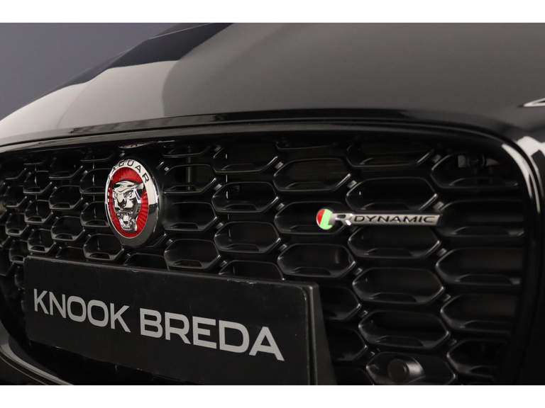 Jaguar Jaguar