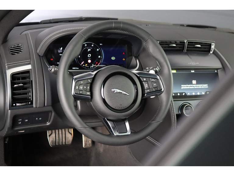 Jaguar Jaguar