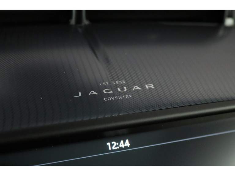 Jaguar Jaguar