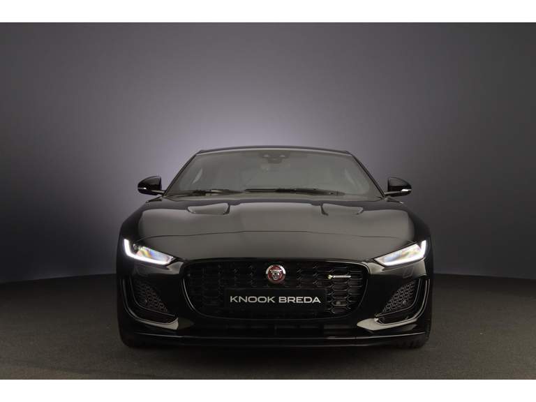 Jaguar Jaguar