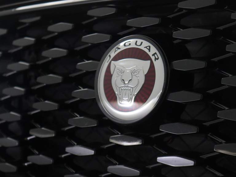Jaguar Jaguar