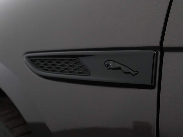 Jaguar Jaguar
