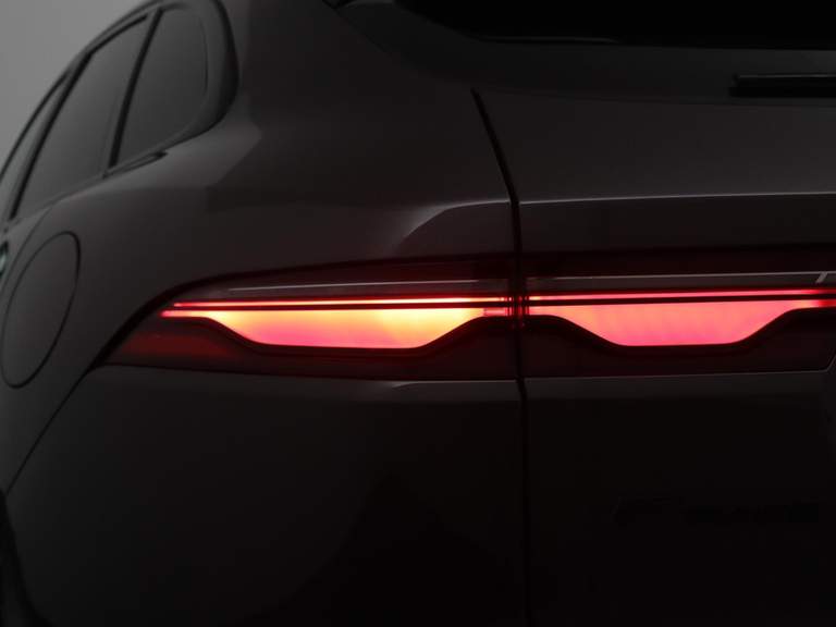 Jaguar Jaguar
