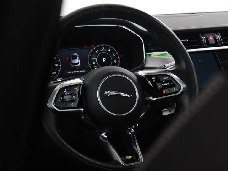 Jaguar Jaguar