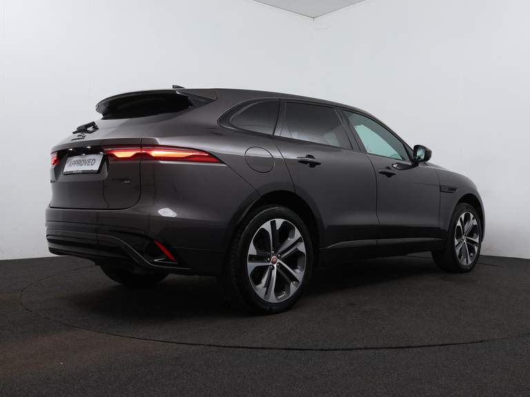 Jaguar Jaguar