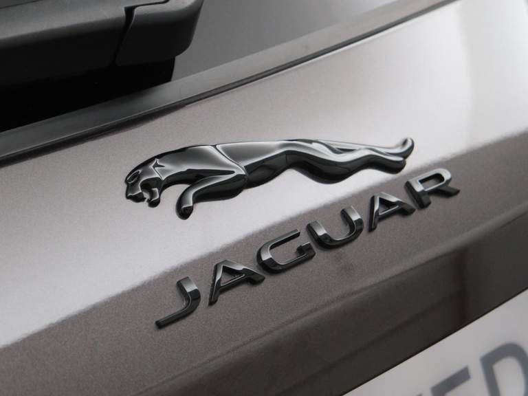 Jaguar Jaguar