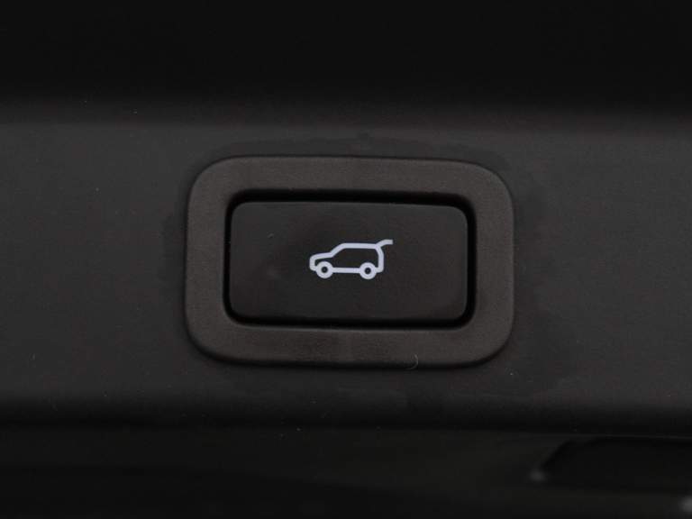 Jaguar Jaguar