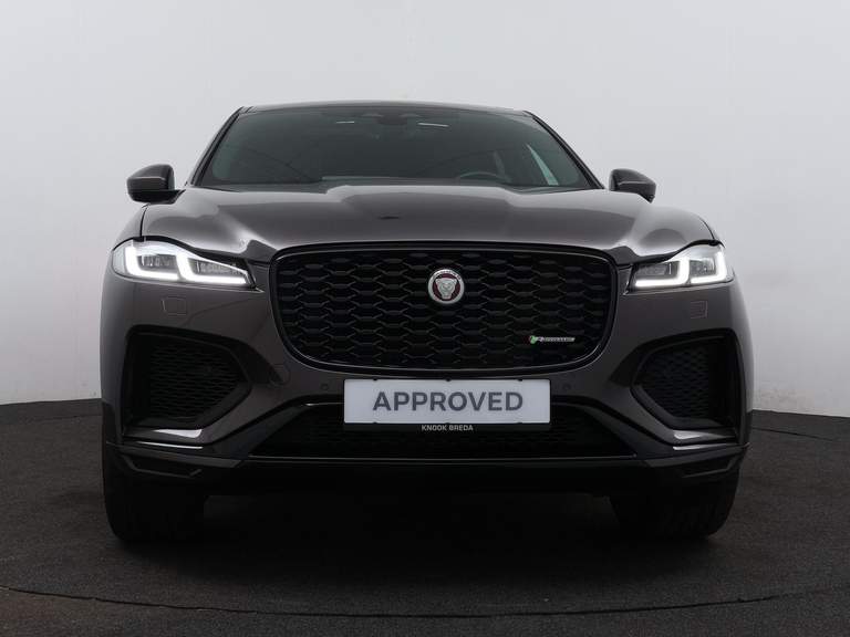 Jaguar Jaguar