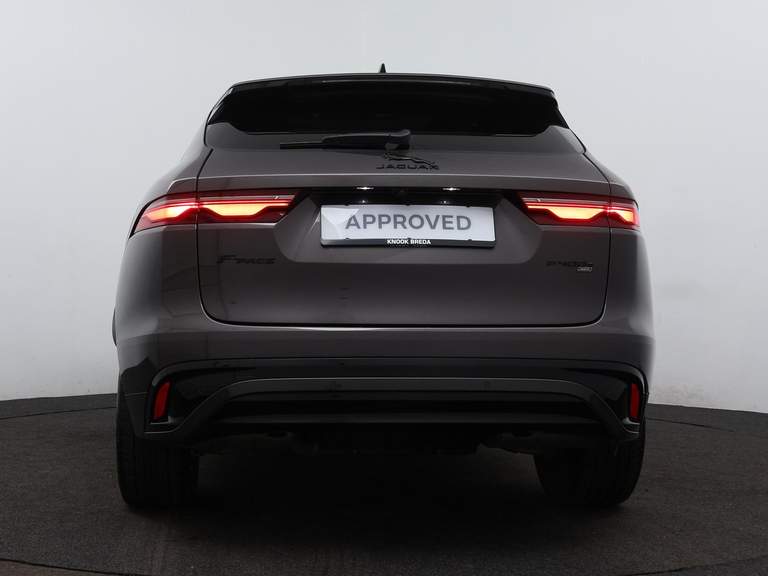 Jaguar Jaguar