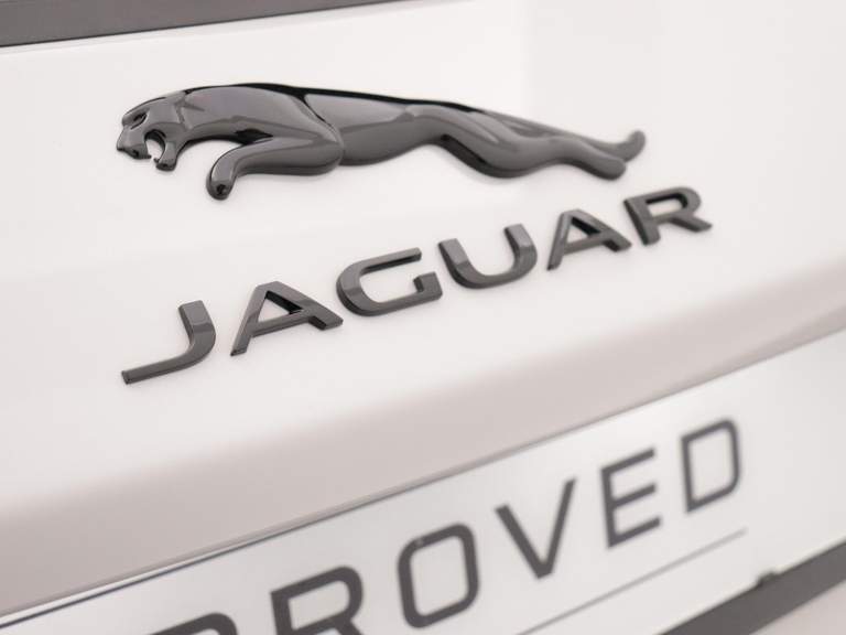 Jaguar