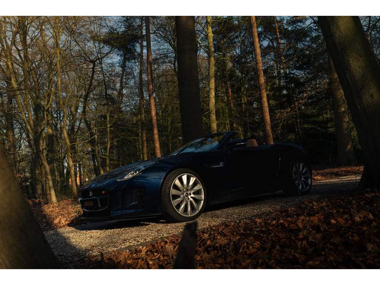 Jaguar Jaguar