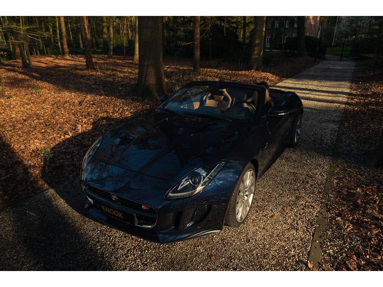 Jaguar Jaguar