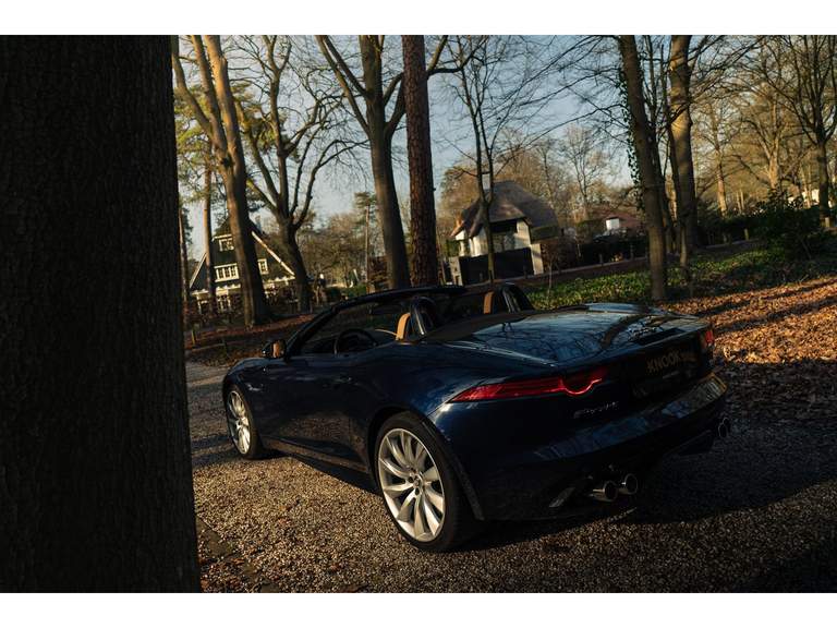 Jaguar Jaguar