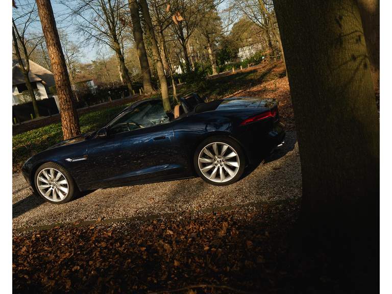 Jaguar Jaguar