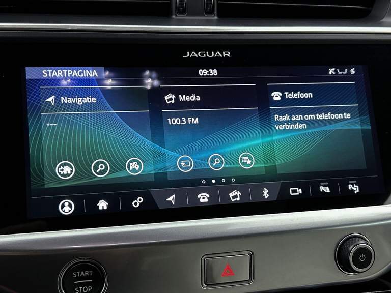 Jaguar Jaguar
