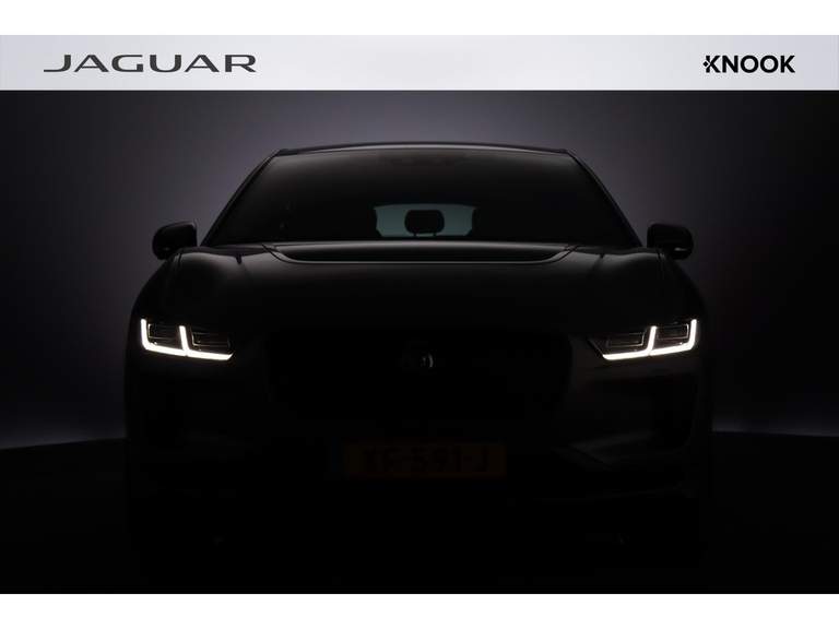 Jaguar Jaguar