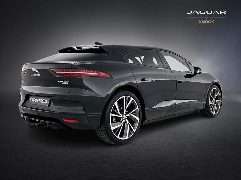 Jaguar Jaguar