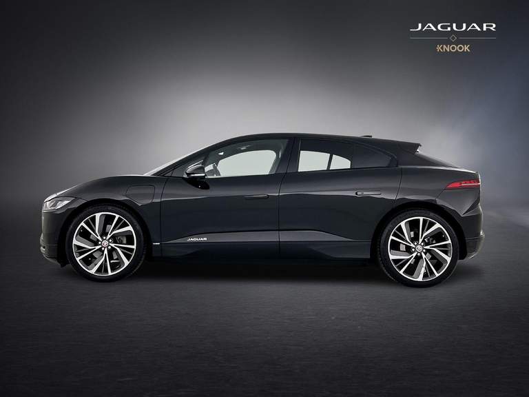 Jaguar Jaguar